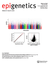 Cover image for Epigenetics, Volume 13, Issue 12, 2018