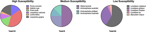 Figure 2. Susceptibility to SARS-CoV-2 infection of sampled animals based on published data (Islam et al. Citation2022; Palmer et al. Citation2021; Parolin et al. Citation2021; Villanueva-Saz et al. Citation2021; Fischhoff et al. Citation2021a; Citation2021b). Since there are no in silico or experimental susceptibility reports for most species (Galictis cuja, Pudu puda, Lontra felina, Lycalopex culpaeus, Lycalopex griseus, Lycalopex fulvipes, Otaria byronia, Arctocephalus australis, Arctocephalus philippi, Arctocephalus tropicalis, Leopardus guigna, and Leopardus colocola), susceptibility was estimated based on taxonomic family. Each color represents the proportion of sampled individuals in each susceptibility category.