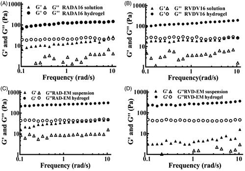 Figure 13. Rheological properties of RADA16-I, RVDV16-I, RADA16-I-EM and RVDV16-I-EM solution (or suspension) and hydrogels. (A) RADA16-I; (B) RVDV16-I; (C) RADA16-I-EM; (D) RVDV16-I-EM. [EM] = 1.0 mg/mL, [RADA16-I] = [RVDV16-I] = 5 mg/mL.