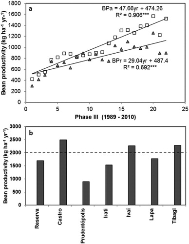 Figure 3. Bean productivity from 1989 to 2010: a) differences in the increase in bean productivity between Paraná State and Prudentópolis, b) comparison of bean productivity in Prudentópolis and other municipalities. Source: IBGE.