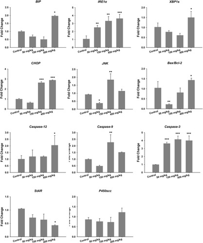 Figure 3 Gene expression of ER stress, apoptosis and testosterone production in testis. *P<0.05, **P<0.01, ***P<0.001 compared with control.