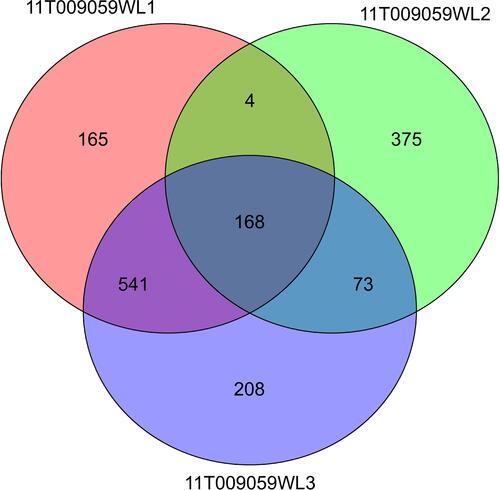 Figure 2 Venn diagram showing the number of co-mutated genes detected in the patient. 11T009059WL1: sarcomatous tissue, 11T009059WL2: cancer tissue, 11T009059WL3: carcinosarcoma tissue.