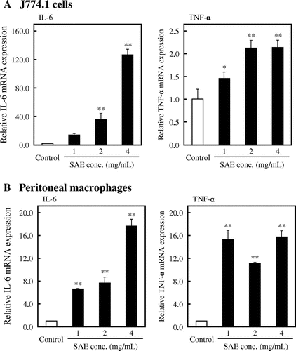 Fig. 2. Effects of SAE on mRNA expression of cytokines in J774.1 cells and peritoneal macrophages.