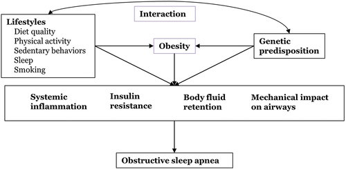 Figure 1. Conceptual framework for the role of healthy lifestyles in obstructive sleep apnea.