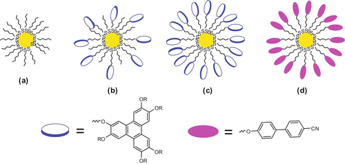 Figure 6. Schematic representation of monolayer-protected GNPs.