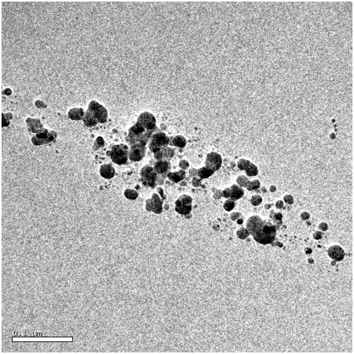 Figure 6. HRTEM images of humic acid protected silver nanoparticles synthesised at 0.008 mol l−1 of silver nitrate concentration. In which silver nanoparticles are clustered in humic acid molecule through micellar supramolecular interaction. Dark spots correspond to silver nanoparticles.