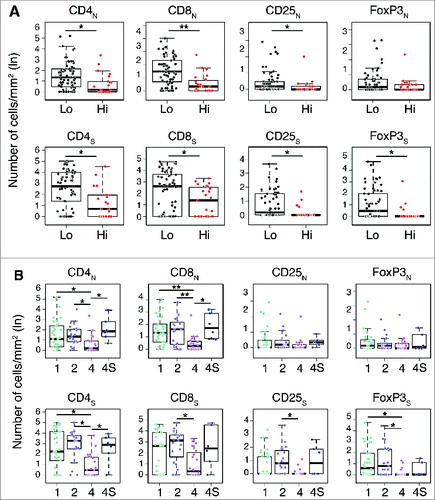 Figure 4. Density of immune cells identifies the outcome of neuroblastoma according to the COG risk and INSS stages Box plots of the CD4+, CD8+, CD25+ and FOXP3+ cell densities in the nest (N) or septa (S) regions according to the high- or low/intermediate-COG risks (A) and the INSS stages (B). NB patients with stage 3 (n = 4) were omitted from the analysis because not representative. * p < 0.05, ** p < 0.001.