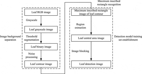 Figure 2. The process of pomegranate leaf image processing