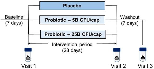 Figure 1. Schematics of study design. The placebo-controlled study followed a three-arm parallel design. Participants (n = 23 per arm) were randomized at the end of a 7-day baseline period, which was followed by a 28-day intervention period (placebo or probiotic at either 5 or 25 billion of colony forming units (CFU)/capsule) and a 7-day washout period. Stool samples were collected within the 6 h preceding visits 1 (Baseline), 2 (End-of-Treatment), and 3 (Washout).