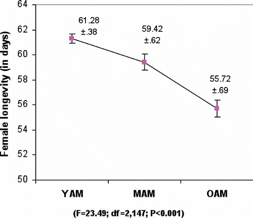 Figure 2. Male age influence on female longevity of D. ananassae (values are mean ±SE). YAM, young male (2–3 days); MAM, middle-aged male (24–25 days); OAM, old-aged male (46–47 days).