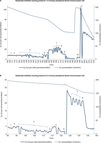 Figure 1 Substrate-inhibitor tracing of protocols 1 and 2 in peripheral blood mononuclear cells.Notes: (A) The oxygen consumption rate is plotted on the left y axis and the oxygen concentration curve is plotted on the right y axis. A total of 11 additions of reagents and inhibitors are tagged with a numeric symbol. Eleven additions of reagents and inhibitors are tagged with a numeric symbol. 1=2 mM malate; 2=2.5 mM pyruvate; 3=20 μg/mL digitonin; 4=2.5 mM ADP (adenosine diphosphate); 5=10 mM glutamate; 6=10 mM succinate; 7=0.25 μM increment of FCCP (carbonylcyanide-p-trifluoromethoxy phenylhydrazone); 8=150 nM rotenone; 9=125 nM antimycin A; 10=1 mM TMPD (tetramethyl-p-phenylenediamine)+2 mM ascorbate; 11=200 mM sodium azide. (B) The oxygen consumption rate is plotted on the left y axis and the oxygen concentration curve is plotted on the right y axis. Eight additions of reagents and inhibitors are tagged with a numeric symbol. 1=2 mM malate; 2=10 μM palmitoylcarnitine; 3=20 μg/mL digitonin; 4=2.5 mM ADP (adenosine diphosphate); 5=150 nM rotenone; 6=0.5 mM DHQ (duroquinol); 7=0.25 μM increment of FCCP (carbonylcyanide-p-trifluoromethoxyphenylhydrazone); 8=125 nM antimycin A.