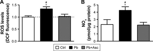 Figure 2 SM of rats developmentally exposed to Pb have increased levels of ROS and RNS and the increase is ameliorated by ascorbate.