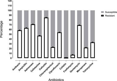 Figure 1 Antibiotic resistance profile of all tested E. coli isolates.