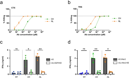 Figure 2. AEC-NL triggers target cell killing with increased efficiency and is antibody target specific. (a,b) To determine whether the AEC-NLs resulted in a more efficient target cell killing, an AlamarBlue assay was performed, in which HeLa-A2 cells were incubated with AECs and cocultured for 72 hrs with the virus specific T cells. Plotted values are the means of duplicates (SEM) of a representative experiment out of n=4. (c,d) Both CTX (C) and TRS (D) AECs were tested for their target specificity on Hela-A2 EGFR KO (C) or Her2 KO (D) cell lines. The target cell lines were pulsed with 16 nM of the different AECs followed by an overnight coculture with the BRLF1-YVL-specific T cells. T-cell activation was measured with an IFN-γ ELISA. Plotted values are the means of duplicates (SEM) of four independent experiments. To determine the statistical significance, an RM one-way ANOVA with Tukey’s multiple comparisons was performed.