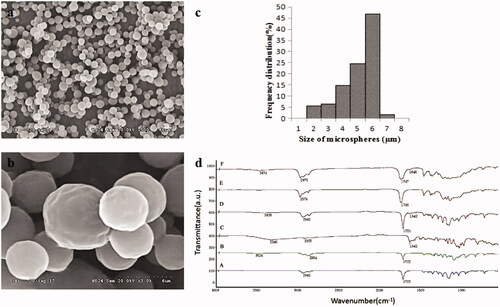 Figure 1. SEM image at 500 times (a) and 3000 times magnification (b), size distribution (c) of Ng-microspheres, and FTIR spectra (d) of PCL (A), PEG-b-PCL (B), naringin (C), electrosprayed PCL/PEG-b-PCL/naringin microspheres (Ng-microspheres) (D), SAIB (E), Ng-m-SAIB (F).