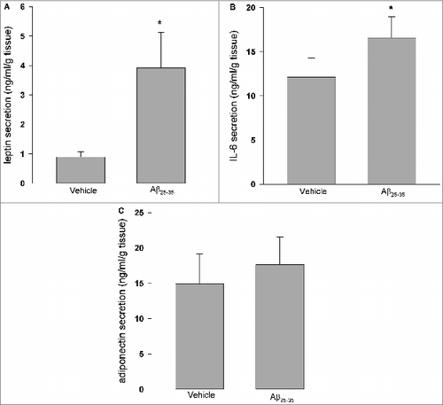 Figure 2. Effects of Aβ25–35 on leptin, IL-6 and adiponectin secretion. Aβ25–35 (40 μM, 24 h) induced leptin (A) and IL-6 (B) secretion, while there were no observed effects on adiponectin secretion (C). Data are presented as means + SEM (N = 10 ). *P < 0.05 versus vehicle control.