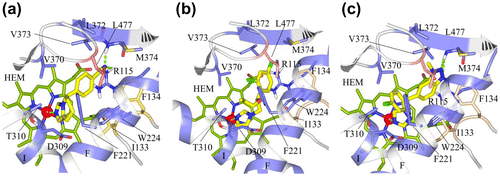 Figure 4. (a) Docking of fadrozole (S), (b) imazalil (S) and (c) vorozole (S) at the active site of human aromatase.