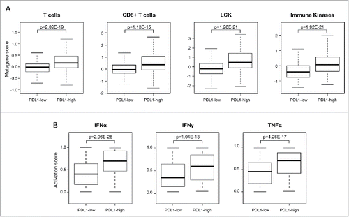 Figure 2. Correlations of PDL1 expression with immune features in soft-tissue sarcomas. (A) Metagene expression scores in all STS (N = 758) reported as a box plot according to PDL1 expression status for T cells and CD8+ T-cells metagenes and two prognostic immune kinase gene expression signature (LCK and immune kinases). (B) Similar to (A), but showing the probability of activation of immune pathways including IFNα, IFNγ, and TNFα pathways. The p-values (Student's t-test) are indicated.