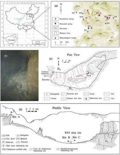 Figure 1. Location of the study site. (a) Topographic map of the landscape around Xiaoyan Cave and location of the meteorological station close to spring S31 (contour interval: 10 m). (b) Setting of drip XY5. (c) Plan view of Xiaoyan Cave with drip site XY5 and monitoring points A–C. (d) Profile map of Xiaoyan Cave with the distribution of monitoring sites.