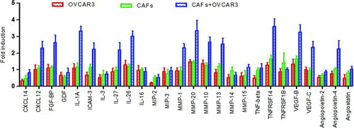 Figure 4  The interaction of CAFs with OVCAR-3 cells leads to increased levels of various cytokines (representative results, not of all 507 cytokines). The data are expressed as the fold induction ± s.d. of triplicates. There were significant expression of some cytokines, while the expression of large number other cytokines remained unchanged. Red column, OVCAR-3 cells only; green column, CAFs only; blue column, CAF+OVCAR-3 cells.