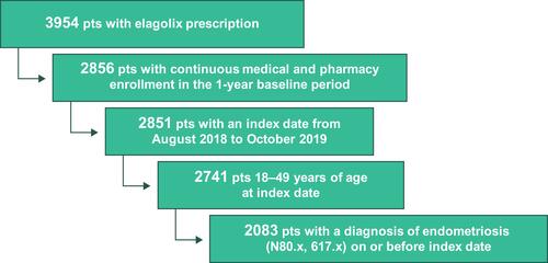 Figure 1 Study population attrition.