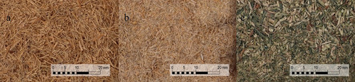 Figure 1. Pictures of materials obtained (from left to right): (a) fibers from stems, (b) fibers from leaves, and (c) shredded material.