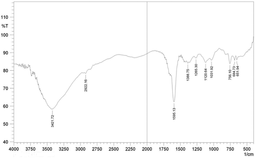 Figure 2. FTIR spectra for papain peptide of Ziziphus jujuba entrapped in calcium alginate bead.