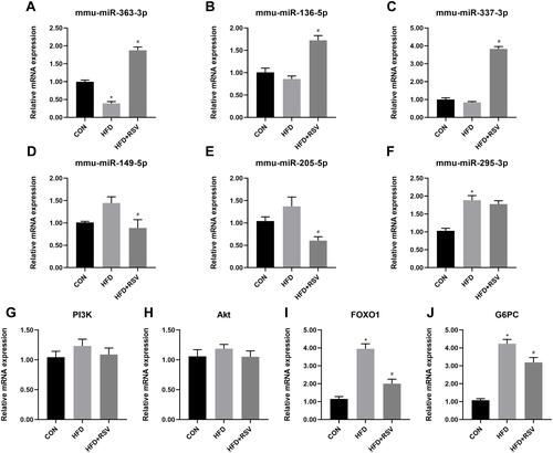 Figure 3 Relative mRNA expression of PI3K-Akt signaling pathway genes in resveratrol-treated insulin resistance model mice. Three up- (A–C) and three downregulated (D–F) miRNAs, four PI3K-Akt signaling pathway genes (G–J) in the livers of CON, HFD, and HFD+RSV mice. Data are the mean ± SD (n = 3). *P < 0.05 vs CON, #P < 0.05 vs HFD (one-way ANOVA with LSD or Tamhane’s test).