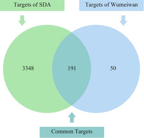 Figure 4 Venn diagram of common targets.