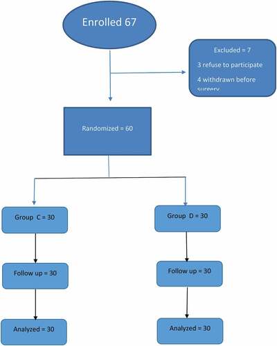 Figure 1. Flow diagram