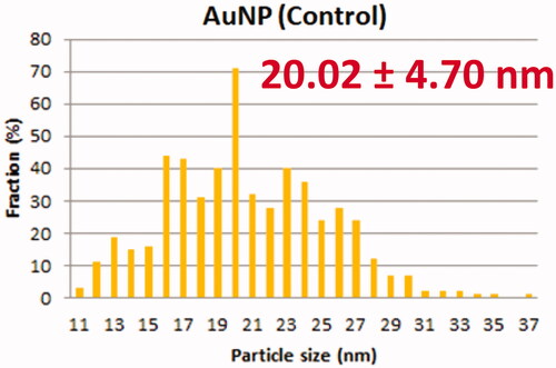Figure 10. Nanoparticle size of gold (AuNP).