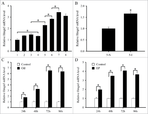 Figure 2. Real-time PCR analysis of Hmgn5 expression in mouse uteri. (A) Hmgn5 expression on days 1–8 of pregnancy. (B) Hmgn5 expression at the implantation sites (5-I) and inter-implantation sites (5-N) on day 5 of pregnancy. (C) Hmgn5 expression under artificial decidualization. (D) Hmgn5 expression during in vitro decidualization. EP, estrogen plus progesterone. Data are shown mean ± SEM. Asterisks denote significance (P < 0.05).