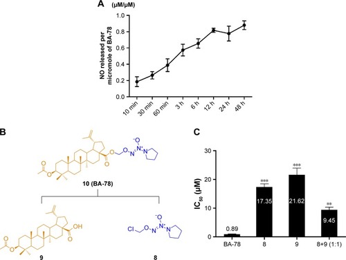 Figure 3 Time-dependent production of NO in B16F10 cells.