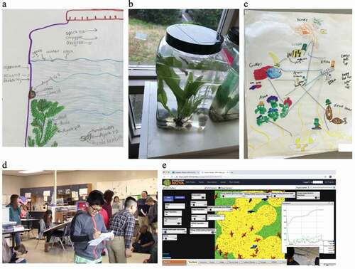 Figure 1. Examples of student models used during the unit: (a) diagrammatic model – ecosystem plan, (b) physical model – ecosystem jar, (c) diagrammatic model – food web, (d) embodied model – guppy ecosystem, (e) computational model – guppy ecosystem.