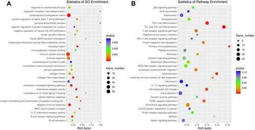 Figure 4 (A) Gene Ontology (GO) annotations and (B) Kyoto Encyclopedia of Genes and Genomes (KEGG) pathway analysis for mRNAs regulated by circRNA–miRNA–mRNA network. The top 20 according to p value of each analysis are displayed.