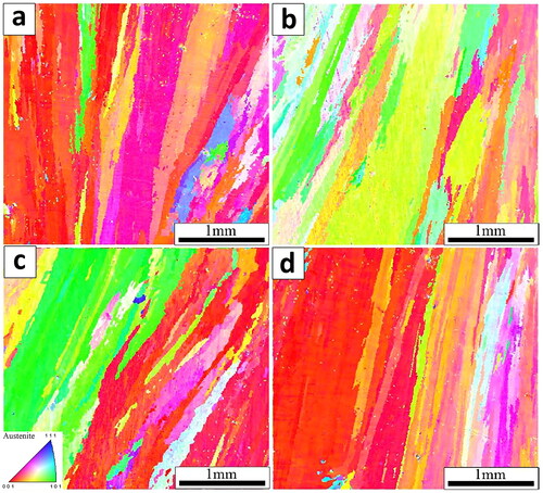 Figure 34. Orientation-imaging maps of the as-deposited and heat-treated (HT) GMA-AM 316 L: (a) as-deposited, (b) HT at 1000 °C for 1 h, WQ, (c) HT at 1100 °C for 1 h, WQ, and (d) HT at 1200 °C for 1 h (Reproduced with permission from[Citation253]).