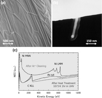 Figure 11 (a) An SEM image of a 1.0% C-doped Ni tip with a graphitic overlayer formed by surface precipitation in UHV. (b) An SEM image of a carbon nanowire protruding from the surface. (c) Auger electron spectra of the surfaces of a C-doped Ni tip before and after annealing for surface precipitation.