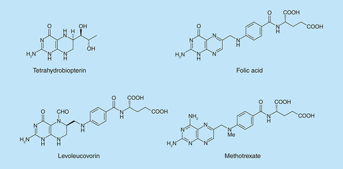 Figure 1.  Pterin and pteridine derivatives of biological or medicinal importance.