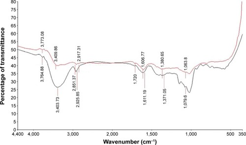 Figure 4 Fourier-transform infrared spectra.Notes: Purified green-synthesized silver nanoparticles obtained after bioreduction (red line) and cranberry dry-powder extract (black line).