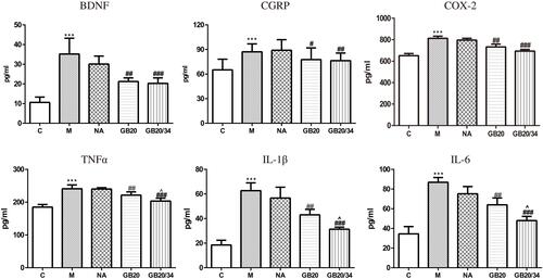 Figure 6 Electroacupuncture (EA) decreased serum levels of neuropeptide and inflammatory factors. Model group vs Control group (***P<0.001), GB20, GB20/34 group vs Model group (#P<0.05, ##P<0.01, ###P<0.001), GB20 group vs GB20/34 group (^P<0.05).