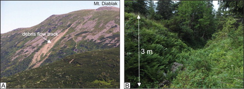 Figure 4. Hillslope landforms in the Babia Góra Massif. (A) The longest (760 m) modern debris flow track formed in 2002 on the northern slope of the Babia Góra Massif. (B) Relict debris flow gully at Urwisko site.