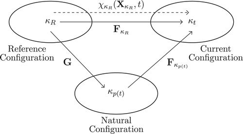 Figure 4. Schematic diagram illustrating the notion of current natural configuration of the material.