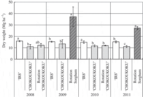 Figure 1 Dry weight of shoot of phytoextraction plant. Error bars indicate standard deviation of three replicates. The same letters are not significantly different in the year at P < 0.05 based on Tukey’s multiple-comparison test.