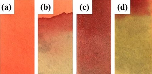 Figure 11. The pH indicator labels under different conditions: (a) blank; (b) HCl solution; (c) water; (d) NaOH solution.