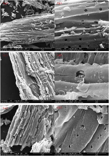 Figure 2. SEM images of BC, FBC and FBCP (a, b: BC, c, d: FBC, e, f: FBCP).