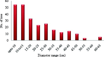 Figure 4. Number of trees by diameter class (DBH) in the Sibuti mangrove forest.