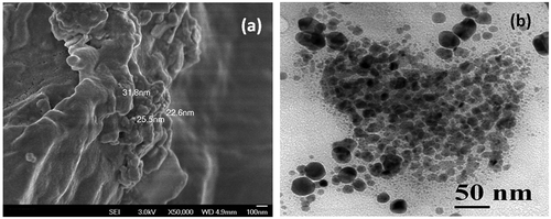 Figure 9 a FESEM and b HRTEM images of PCL/Fe3O4–AR nanocomposite synthesized at [M/I] = 100