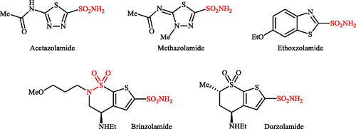 Figure 1. Chemical structures of acetazolamide, methazolamide, ethoxzolamide, brinzolamide, and dorzolamide.