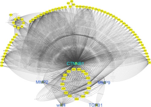 Figure 10 Interaction network of effective in wound healing.