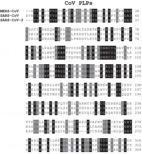 Figure 2. Alignment of the PLPs from the three CoV. Multiple amino acid sequence alignment was performed with the program ClustalW, version 2.1. The alignment was formatted highlighting in black the identical residues and the conservative substitutions in gray.